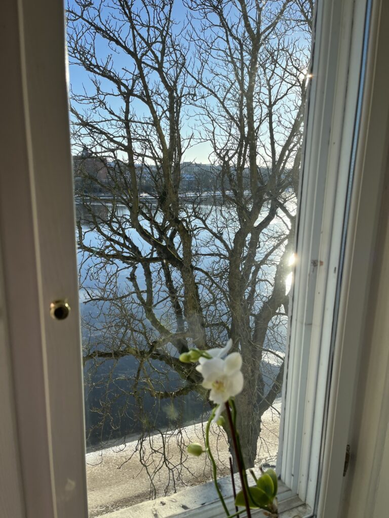 Interiørfoto af Vogelterapi klinikken (detalje/stemningsbillede).